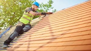 Best Roof Moss and Algae Removal  in , KY